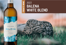 Balena Six Pack