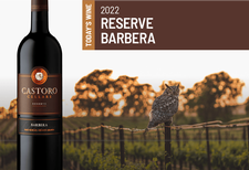 Barbera Six Pack