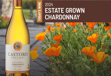 Chardonnay Case Special