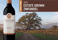 Zinfandel Case Special