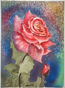 Brush and Bottle @ Castoro Cellars